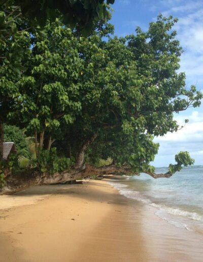 plage Madagascar