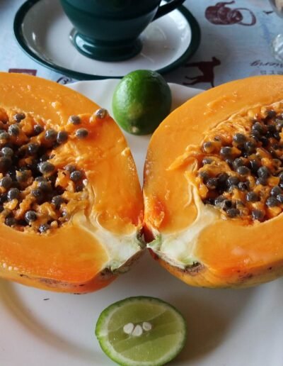 Fruit tropical Hotel La baleine Sainte Marie Madagascar