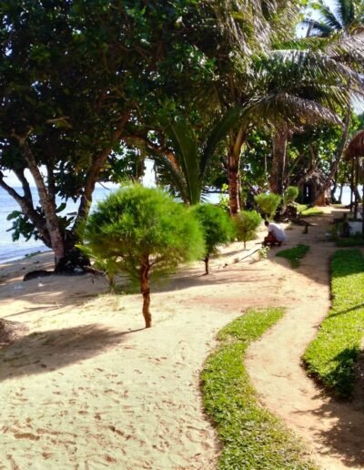 Bungalows sur la plage de l'hotel La baleine